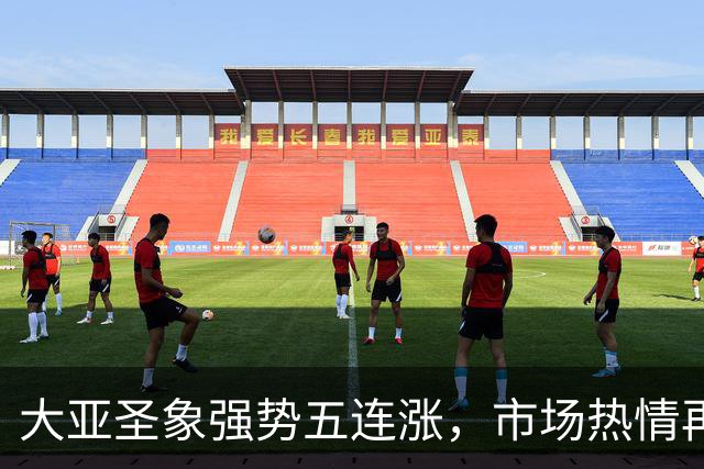 大亚圣象强势五连涨，市场热情再度燃起