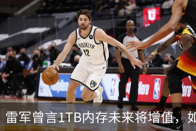 雷军曾言1TB内存未来将增值，如今价格暴涨引发讨论